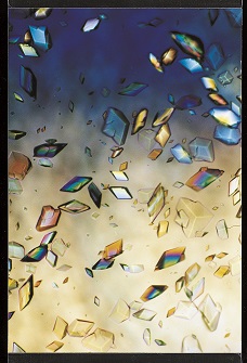 Protein crystals