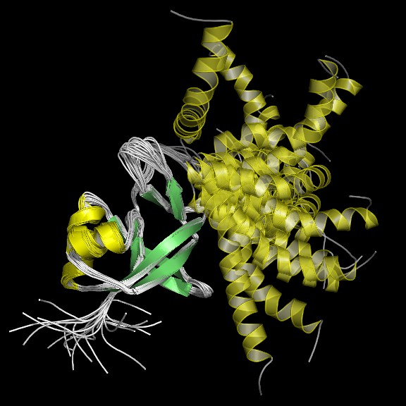 Protein from Arabidopsis thaliana