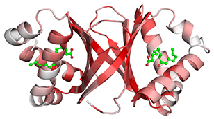 Dimeric ferredoxin-like protein from an unidentified marine microbe