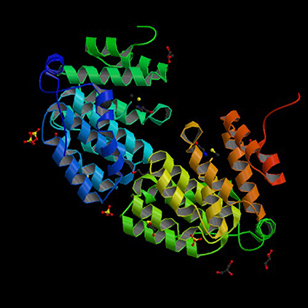 Protein from E. faecalis