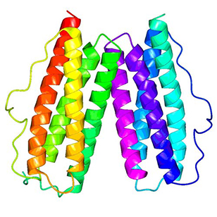 Protein rv2844 from M. tuberculosis