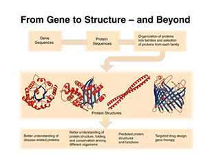 PSI: from genes to structures