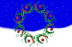 Wreath-shaped protein from X. campestris