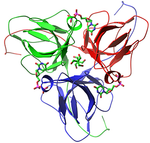 dUTP pyrophosphatase from M. tuberculosis