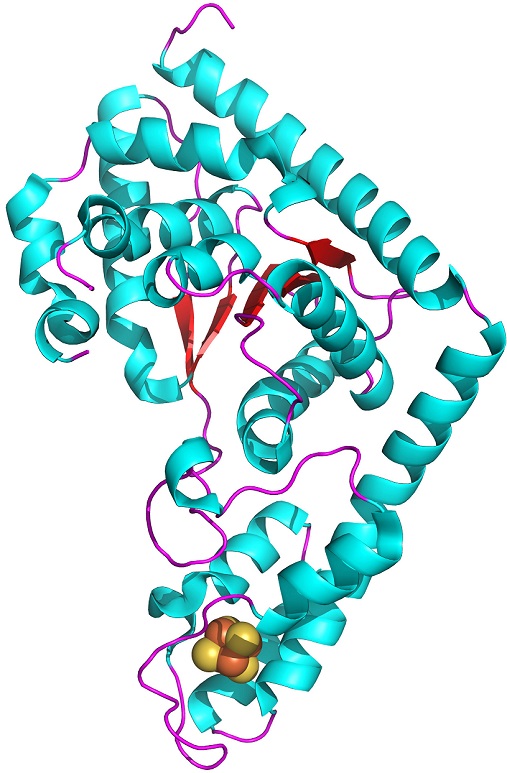 Trp_RS - tryptophanyl tRNA-synthetase family of enzymes