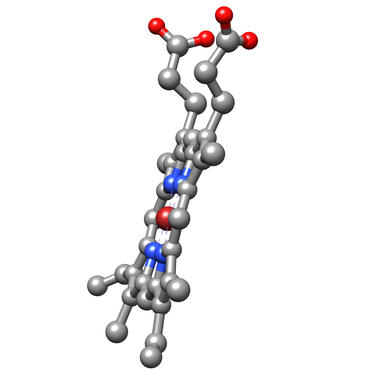 Structure of heme, side view