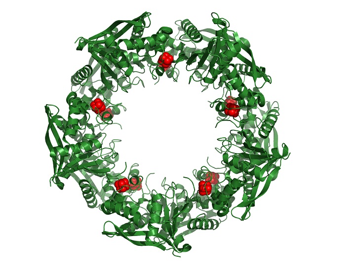 Cas4 nuclease protein structure