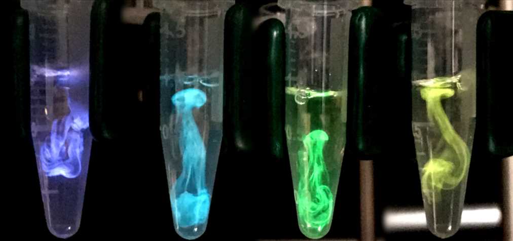 Bioluminescence in a Tube