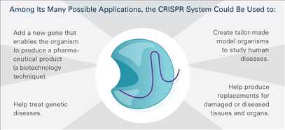 CRISPR Illustration Frame 5