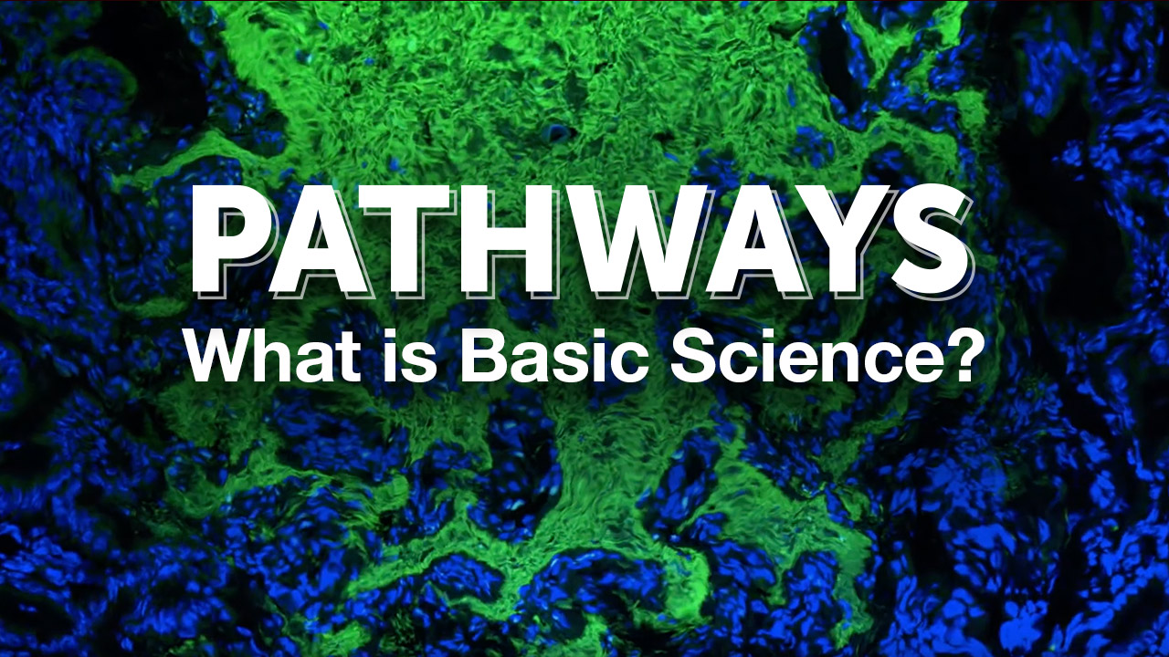 Pathways: What is Basic Science?