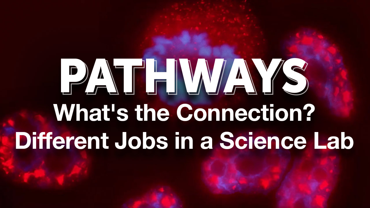 Pathways: What's the Connection? | Different Jobs in a Science Lab