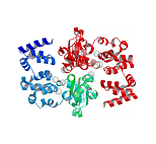 Magnesium transporter protein from E. faecalis