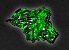 Pulsating response to stress in bacteria