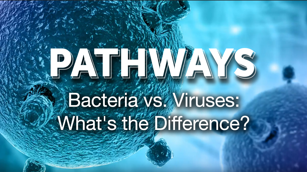 Pathways – Bacteria vs. Viruses: What's the Difference?